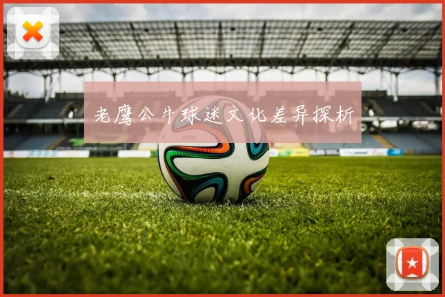老鹰公牛球迷文化差异探析