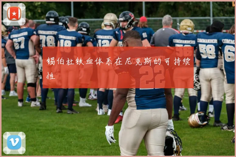 锡伯杜铁血体系在尼克斯的可持续性