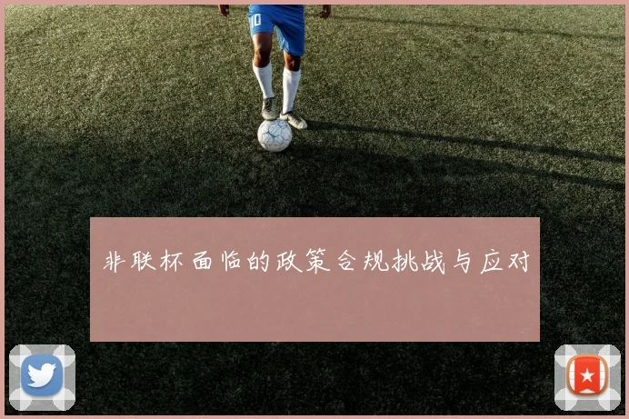 非联杯面临的政策合规挑战与应对