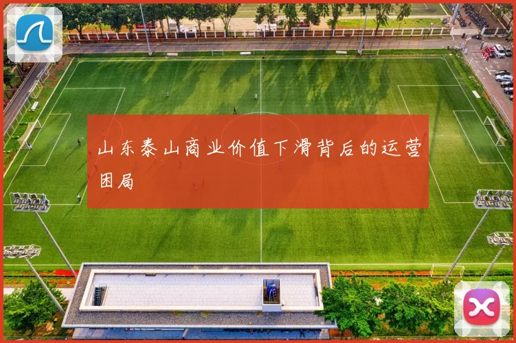 山东泰山商业价值下滑背后的运营困局